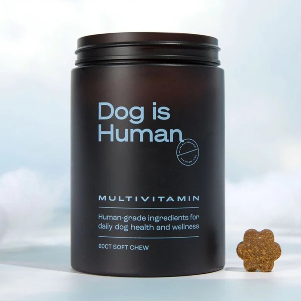Dog Is Human Multi-Vitamin Soft Chew